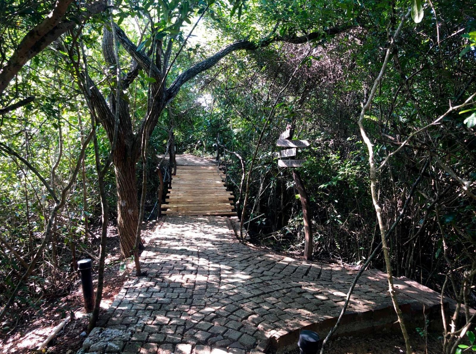 Cloud Nine Wilpattu By Aaradhya Otel Wanathavilluwa Dış mekan fotoğraf
